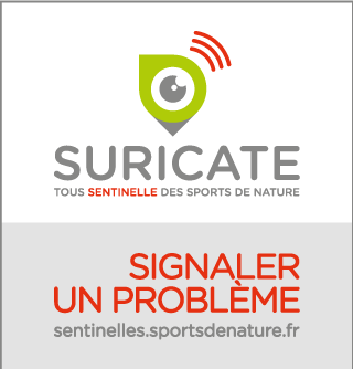 logo suricate