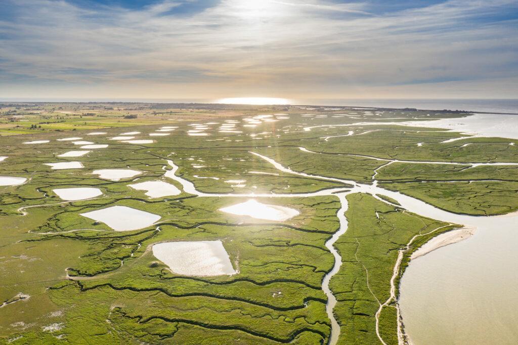Découverte de la réserve naturelle nationale de la Baie de Somme Le