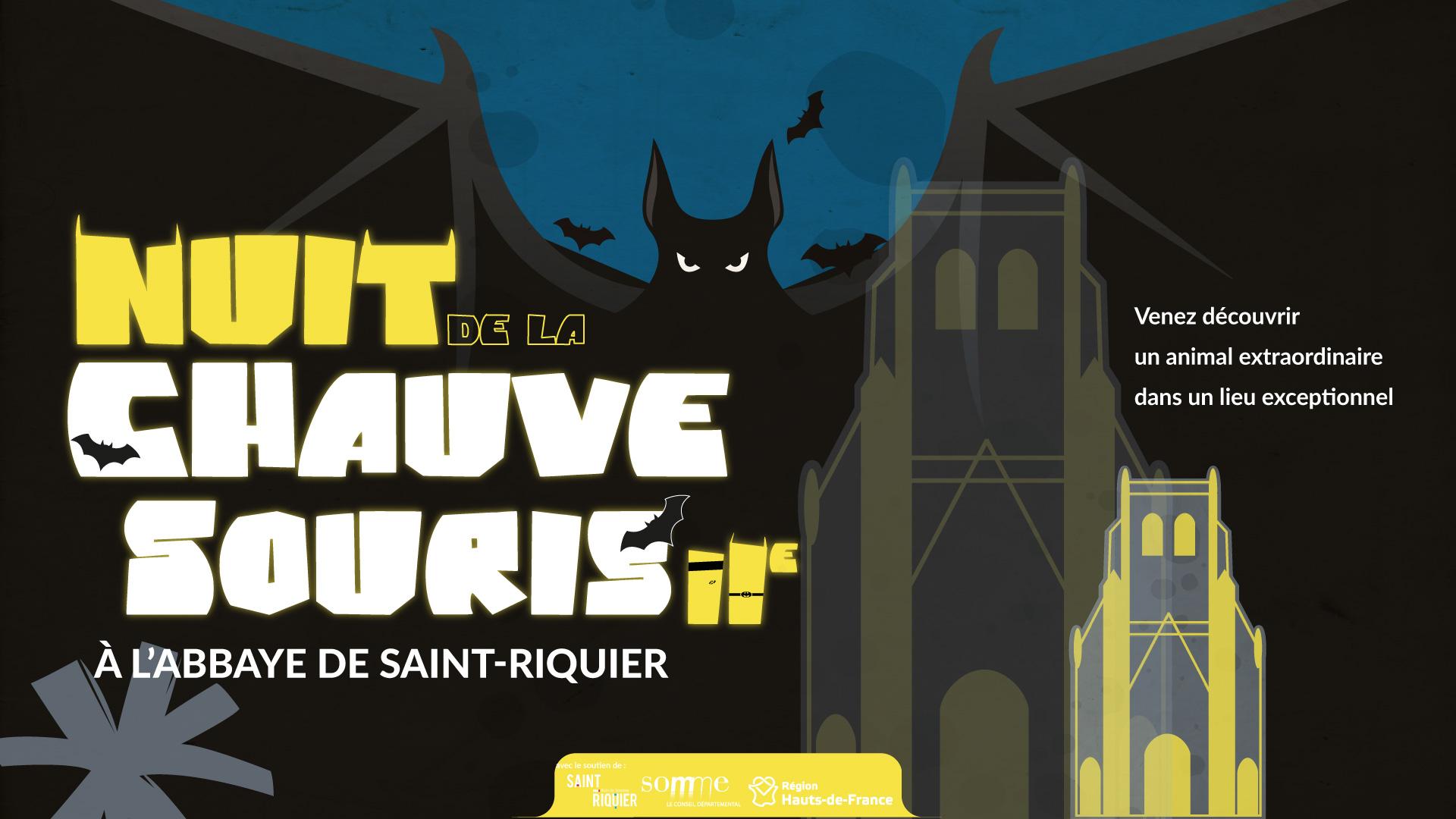 Featured image for “Nuit de la Chauve-souris 2”