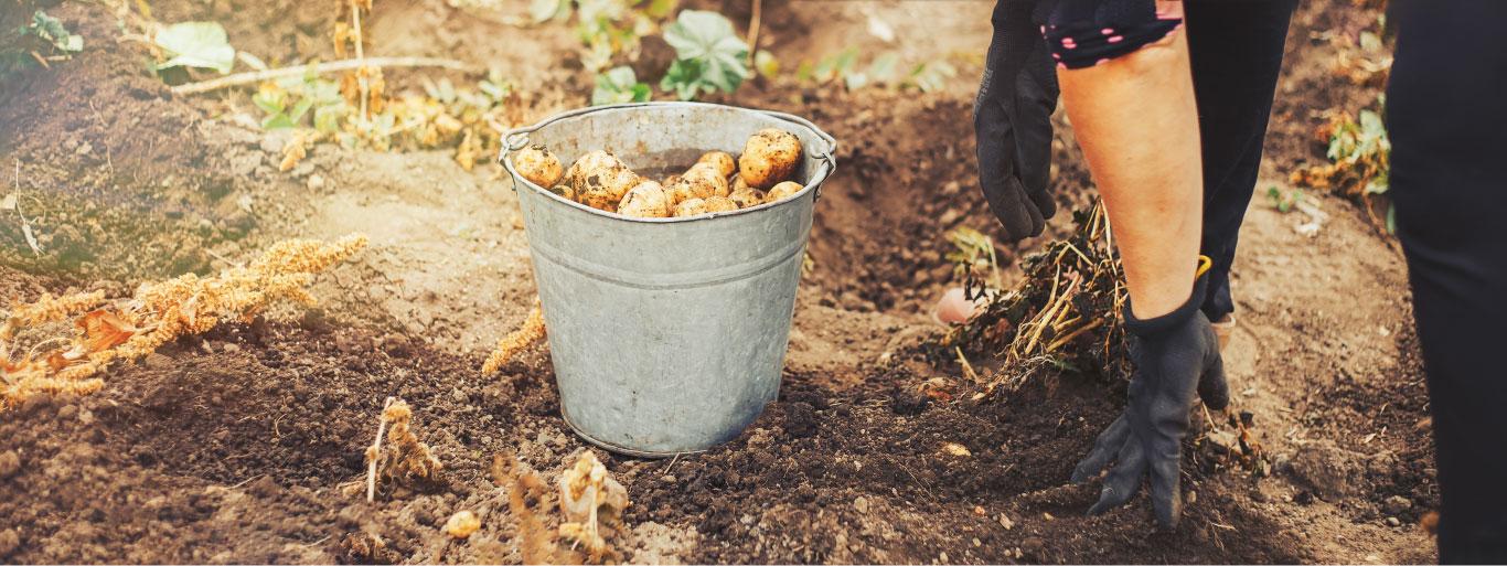 Featured image for “Forum Projet Alimentaire Territorial – 28 septembre”