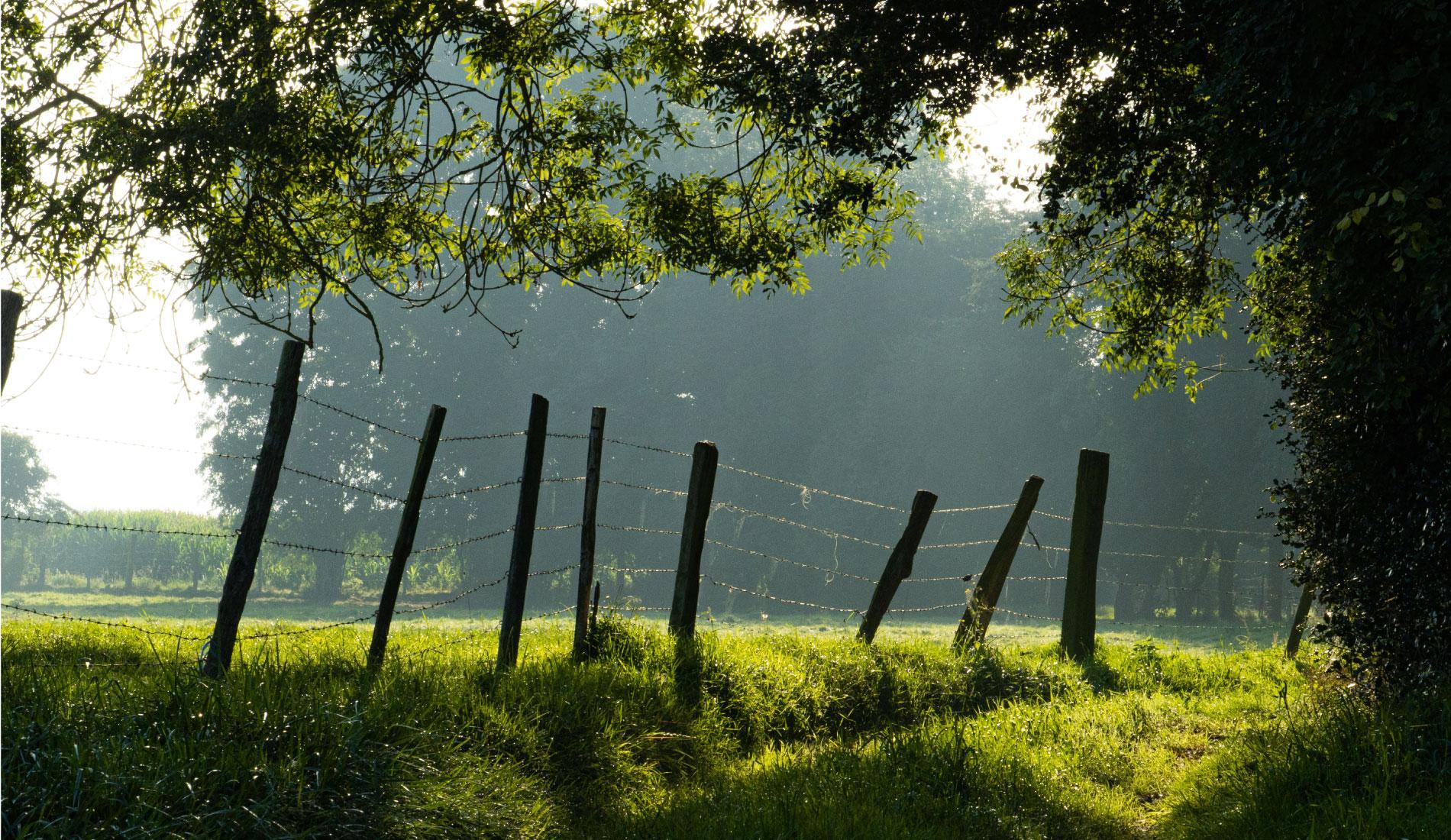 Featured image for “[Recrutement] Chargé(e) d’études paysage”