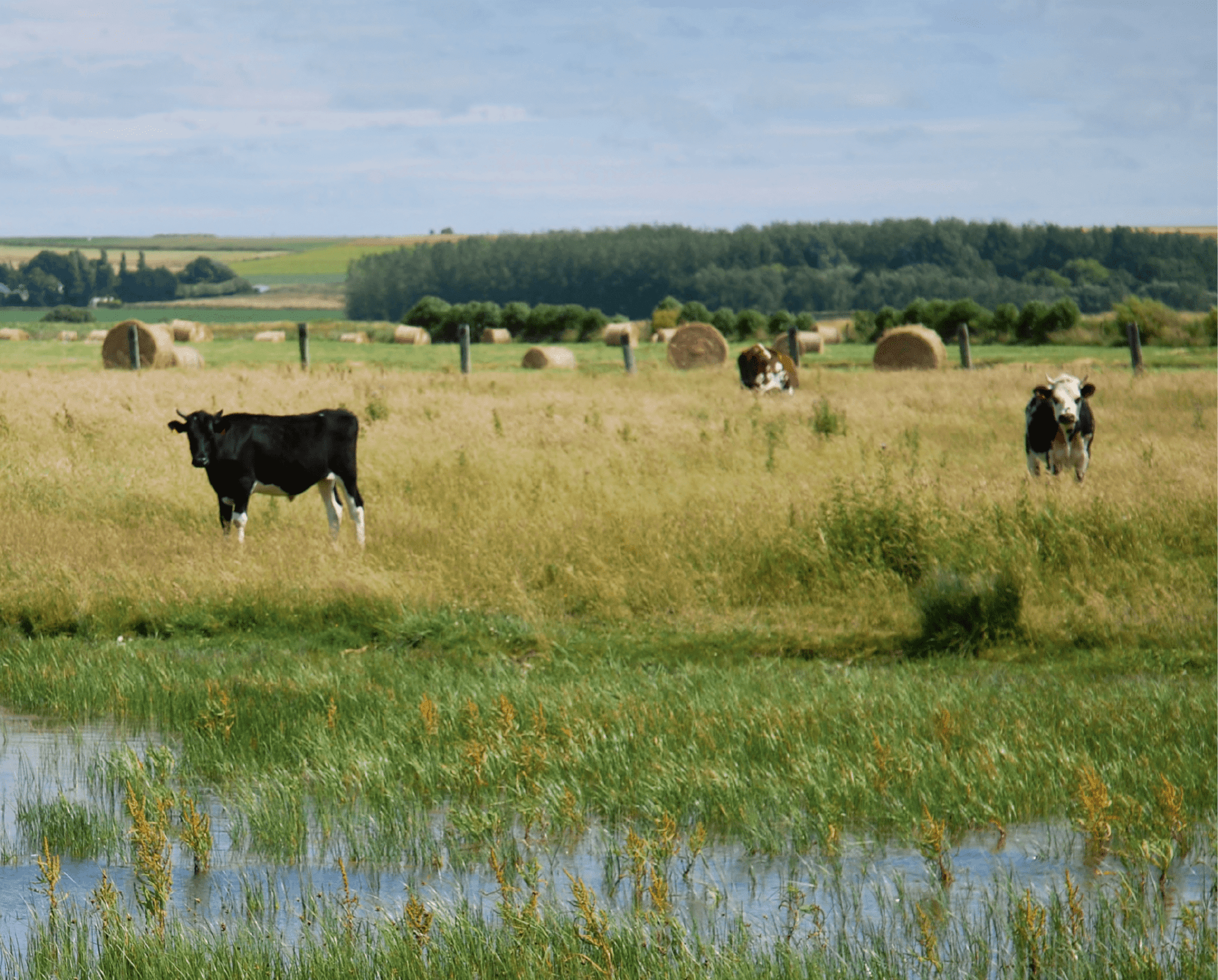 Featured image for “Recrutement : un(e) chargé(e) de mission « agriculture et alimentation »”