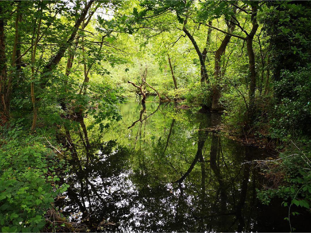 Featured image for “Recrutement : un(e) chargé(e) de mission « biodiversité et valorisation du patrimoine naturel »”