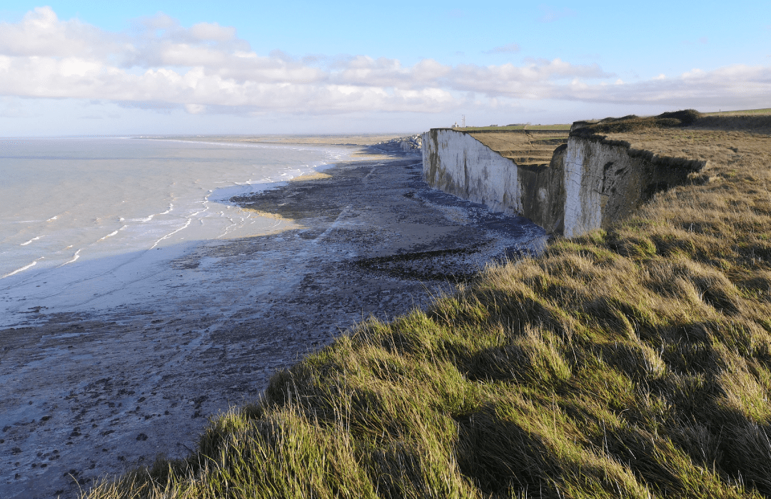 Featured image for “Quand la mer monte : le patrimoine naturel au cœur de l’adaptation du littoral”