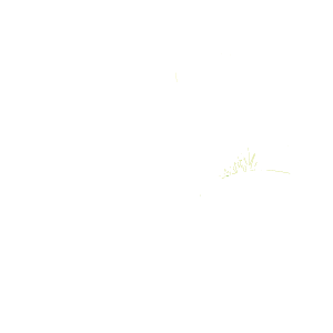 logo rf