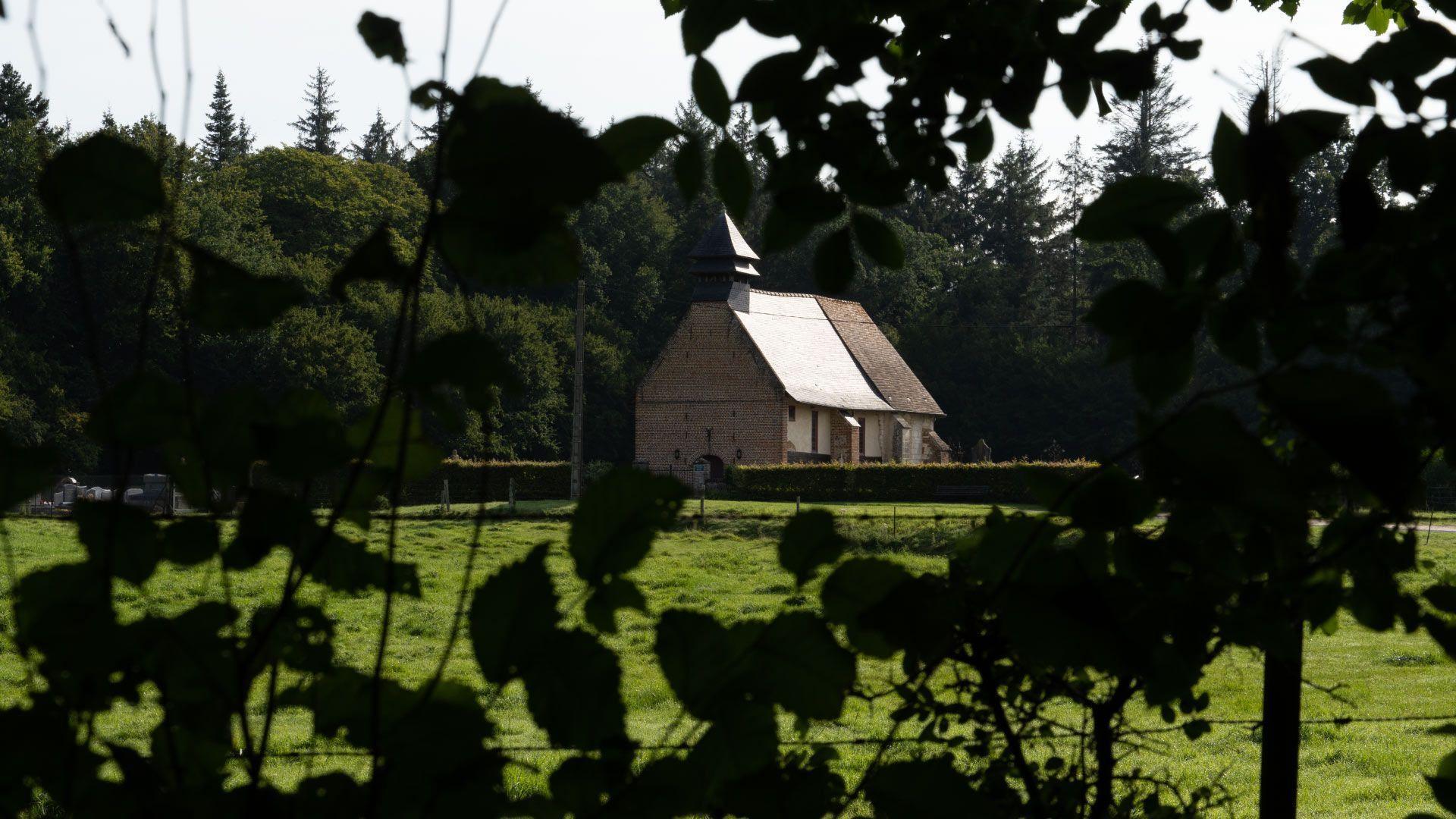 Featured image for “La forêt de Crécy, 1000 ans d’histoire”