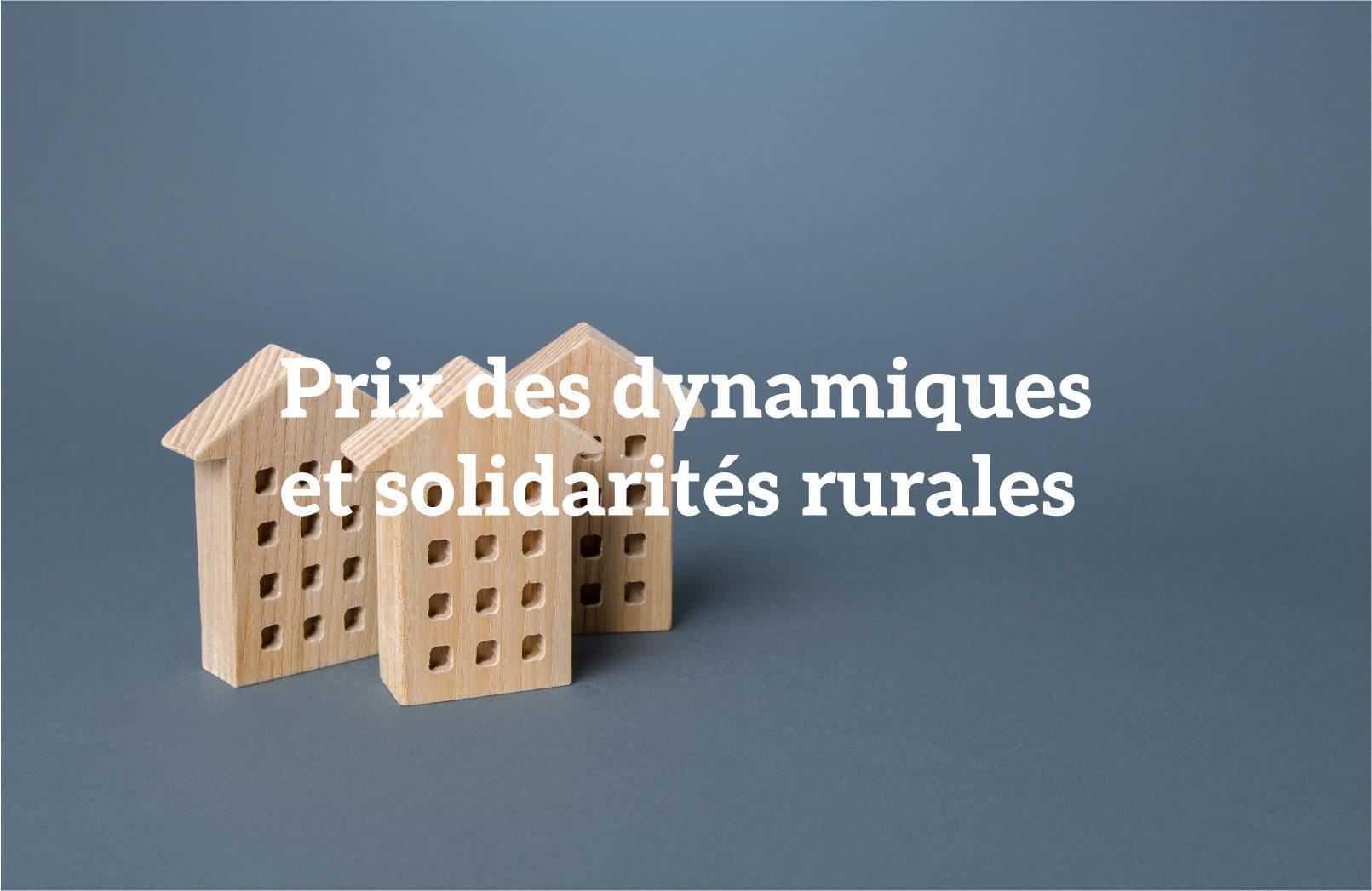 Featured image for “Prix des dynamiques et solidarités rurales des Hauts-de-France 2024”