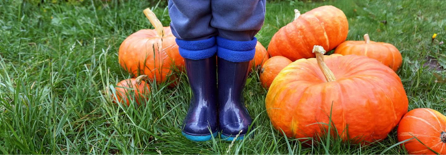 Featured image for “En novembre, cultivons notre Avenir”