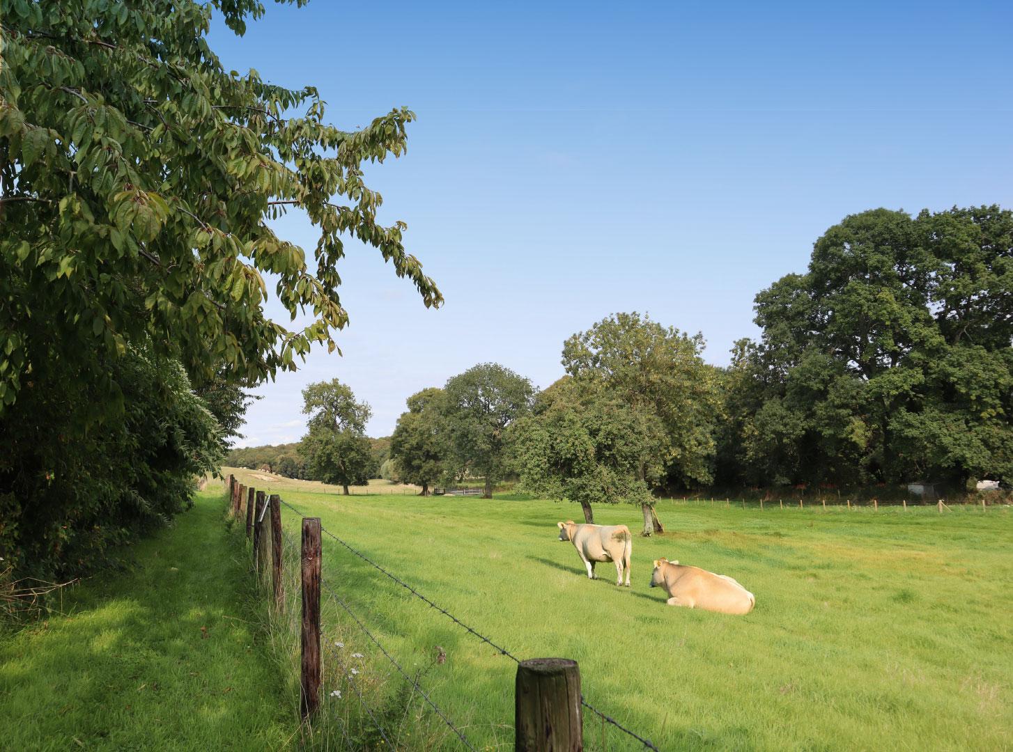 Featured image for “Les Villages-courtils du Vimeu continuent de révéler leurs richesses !”