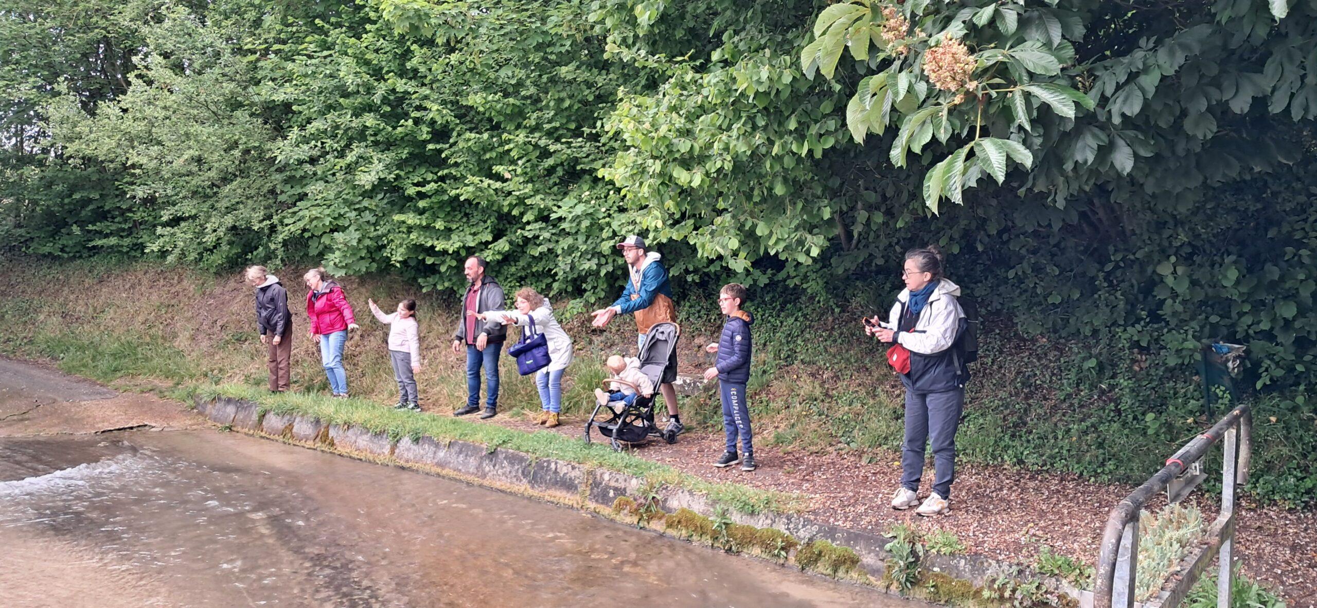 Featured image for “Marche dansée à Bouillancourt : une expérience artistique et sensorielle au cœur de la Vallée de la Trie”